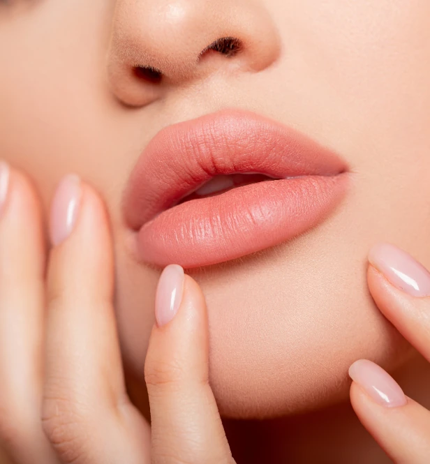 picture of woman with beautiful full lips flip